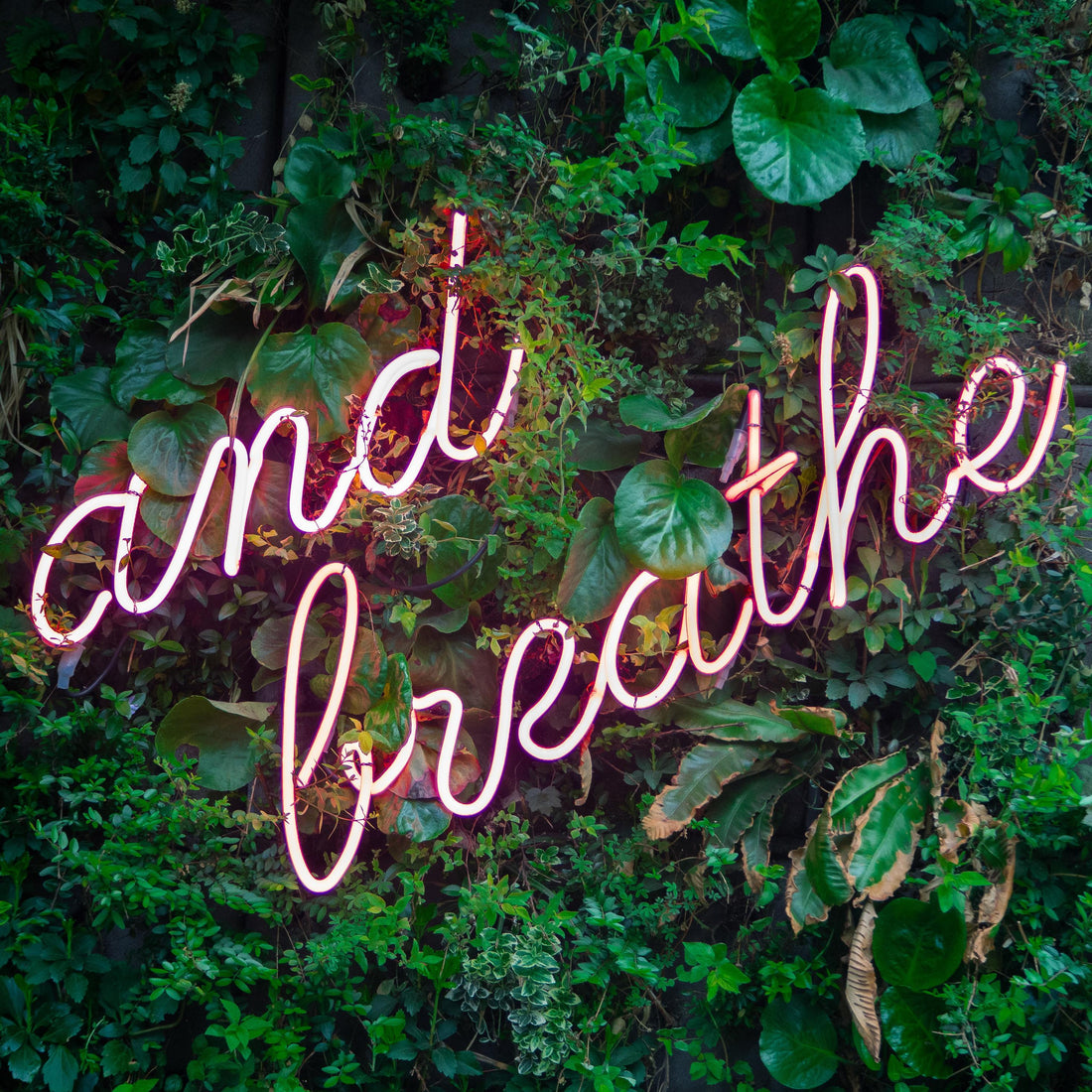 6 Basic Relaxation Techniques
