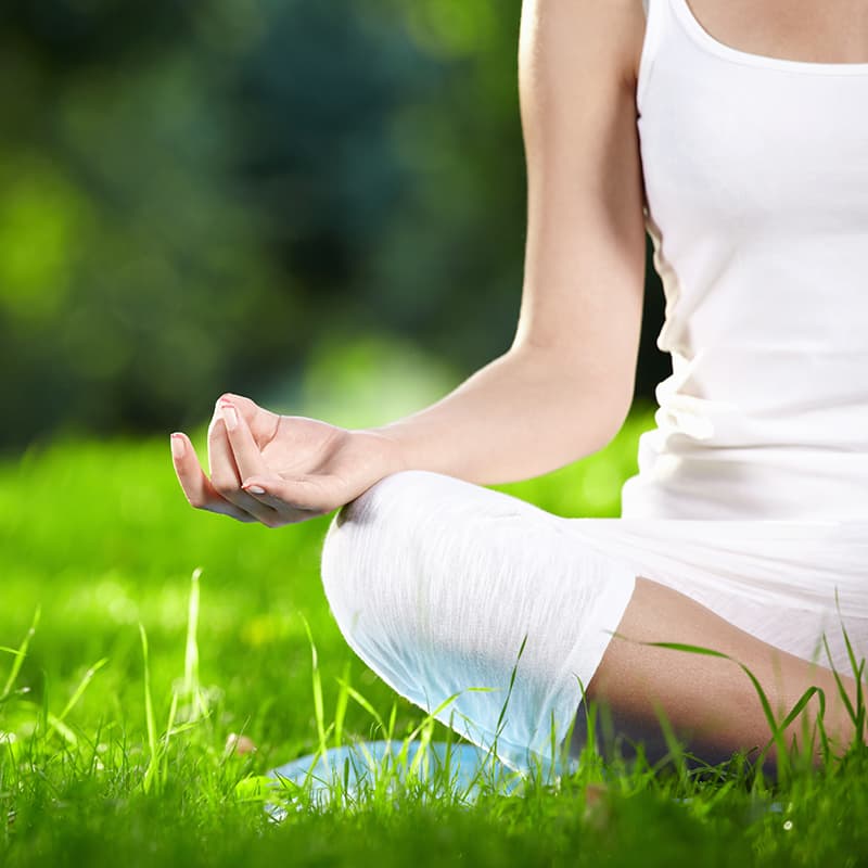 The Science of the Endocannabinoid System