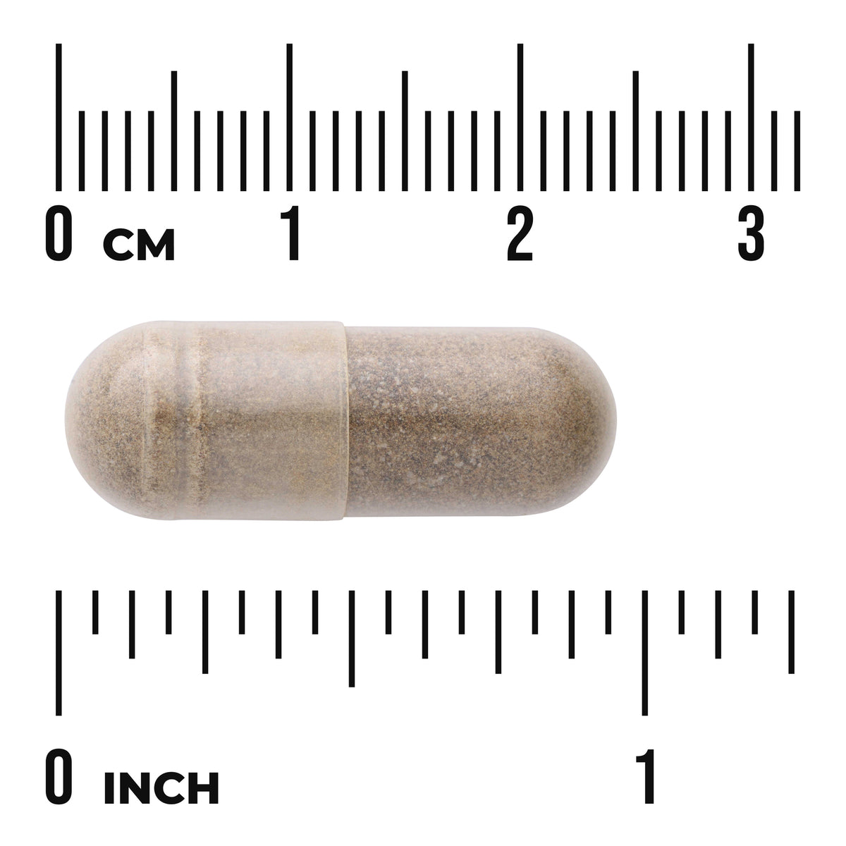 SWU1051 | Clear capsule filled with brown powder centered between centimeter and inch rulers labeled 0 CM and 0 INCH