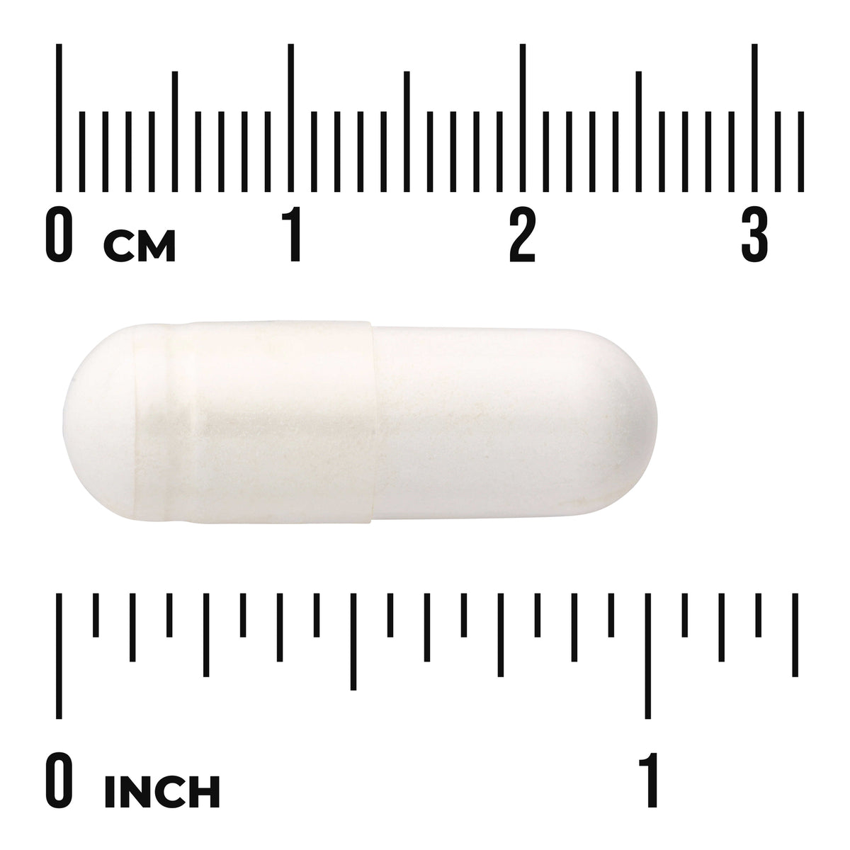 SWU675 | White capsule next to size rulers in centimeters and inches