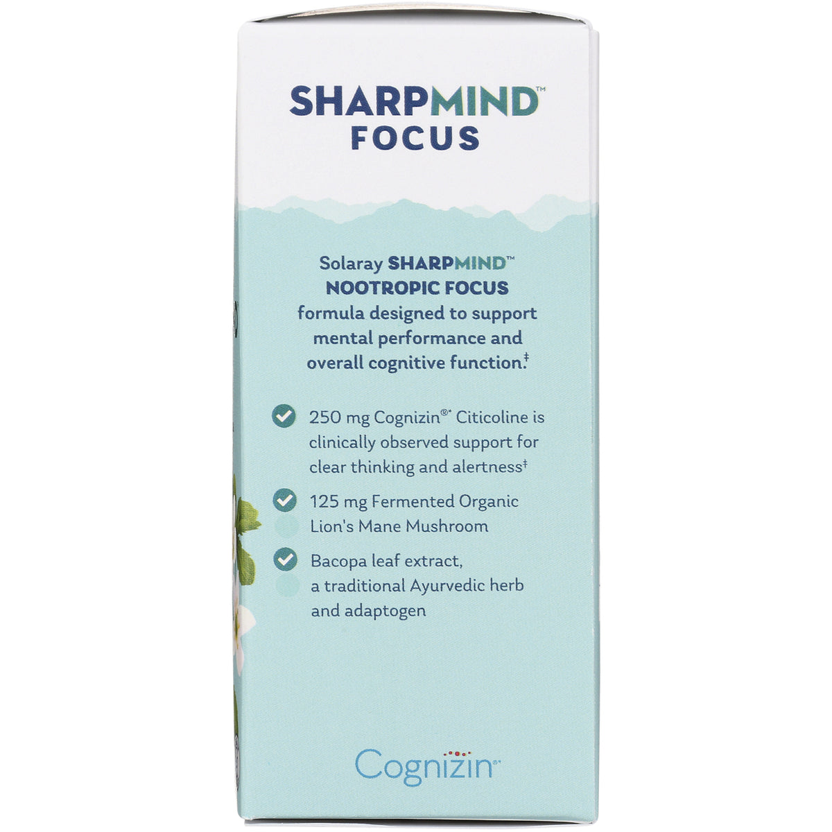 SLR490 | SharpMind Focus infographic: Nootropic Focus with Cognizin citicoline, lion's mane, and bacopa