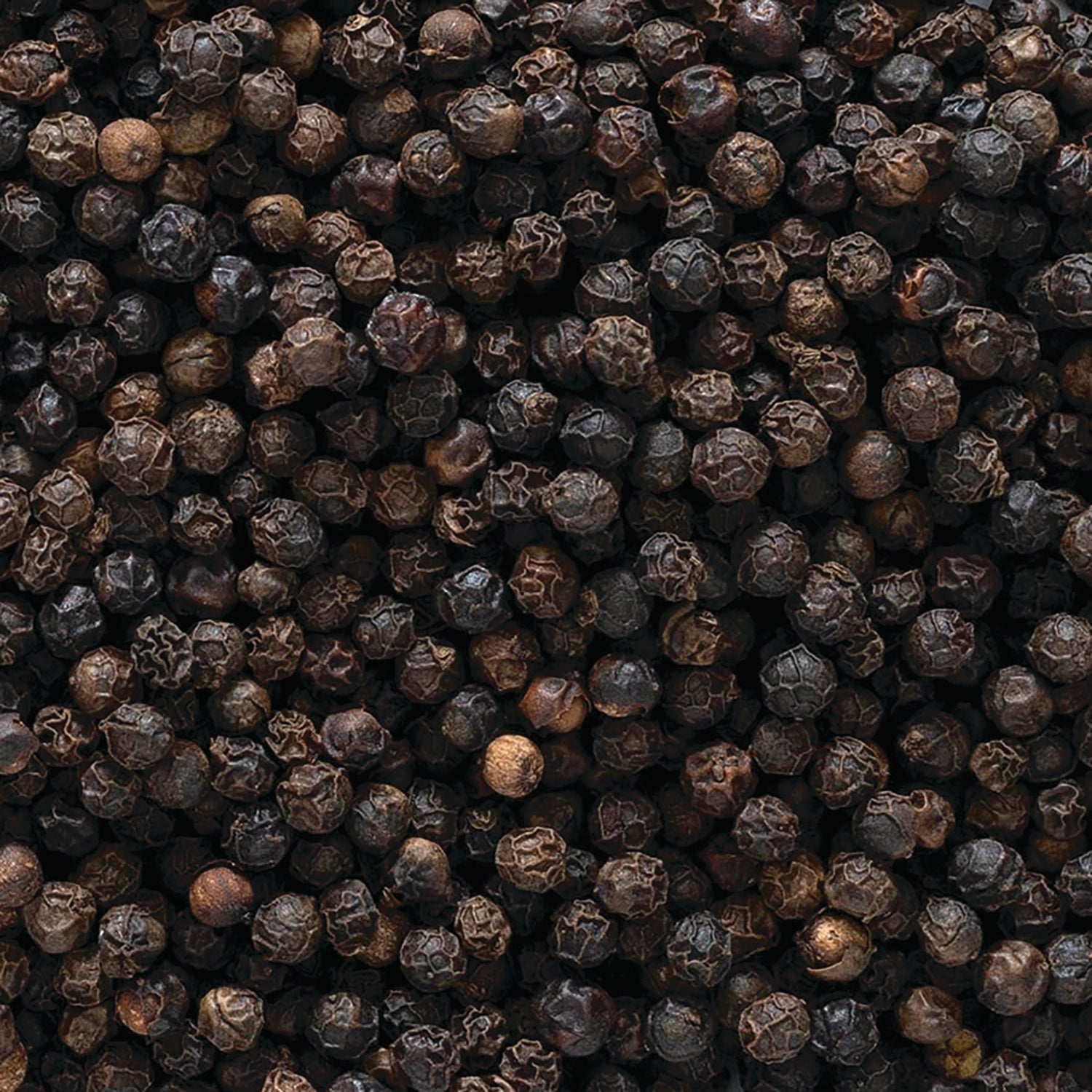 FNP039 | close-up of whole black peppercorns filling the frame