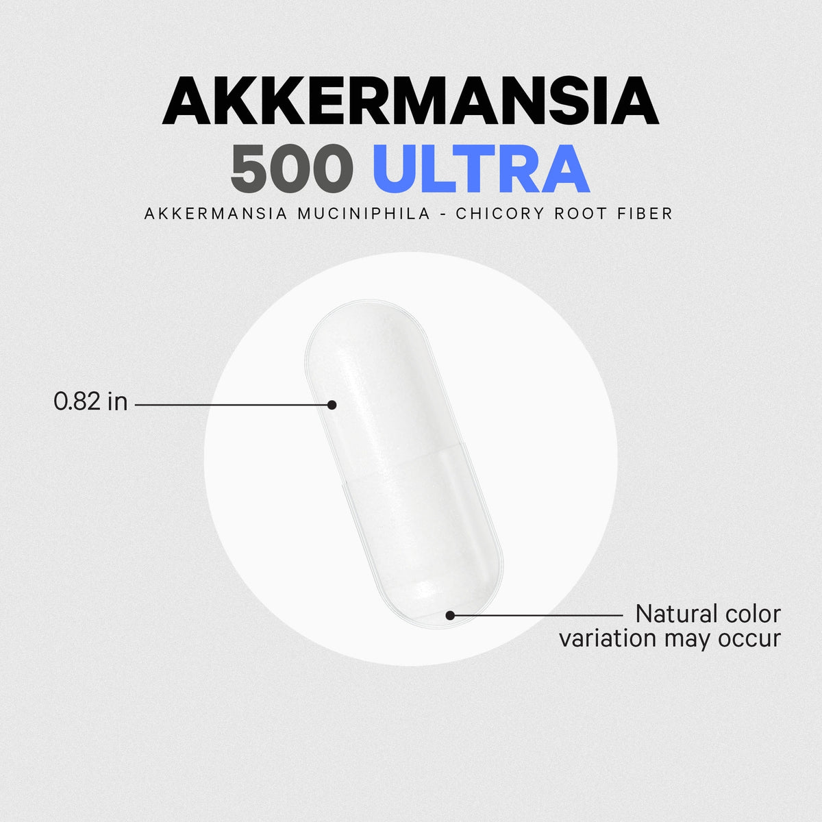 CDG005 | Transparent capsule labeled Akkermansia 500 Ultra, 0.82 in