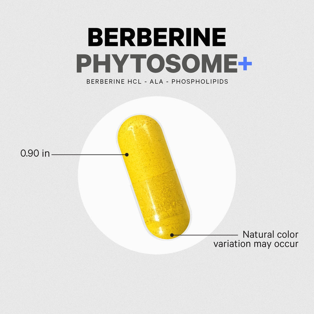 CDG013 | Berberine Phytosome+ capsule infographic showing 0.90 in length and natural color variation - Thumbnail