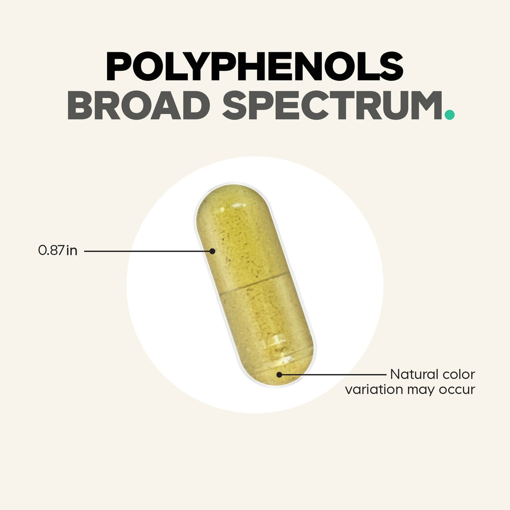 CDG054 | Polyphenols broad spectrum capsule with 0.87 in size callout and natural color variation note - Thumbnail