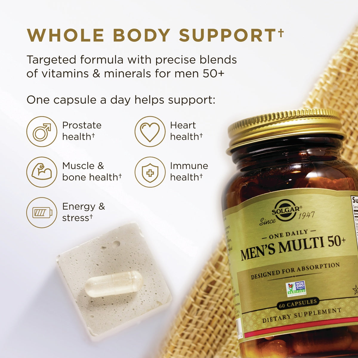 SLG382 | Solgar Men’s Multi 50+ capsule infographic highlighting whole body support for men 50+