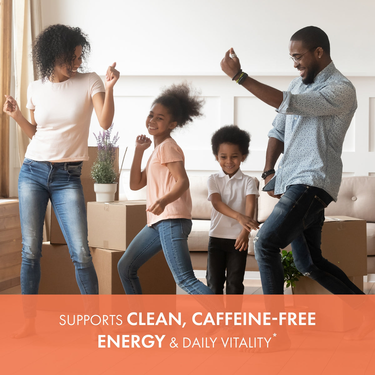 EnergyPlus