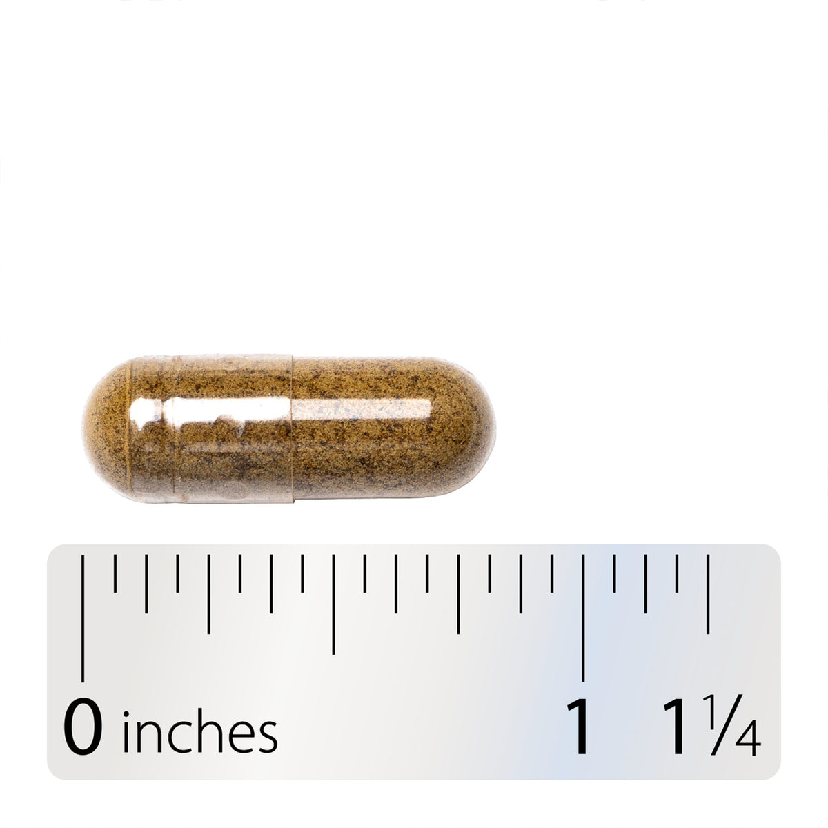 Whole Thallus Bladderwrack Plant-Based Iodine