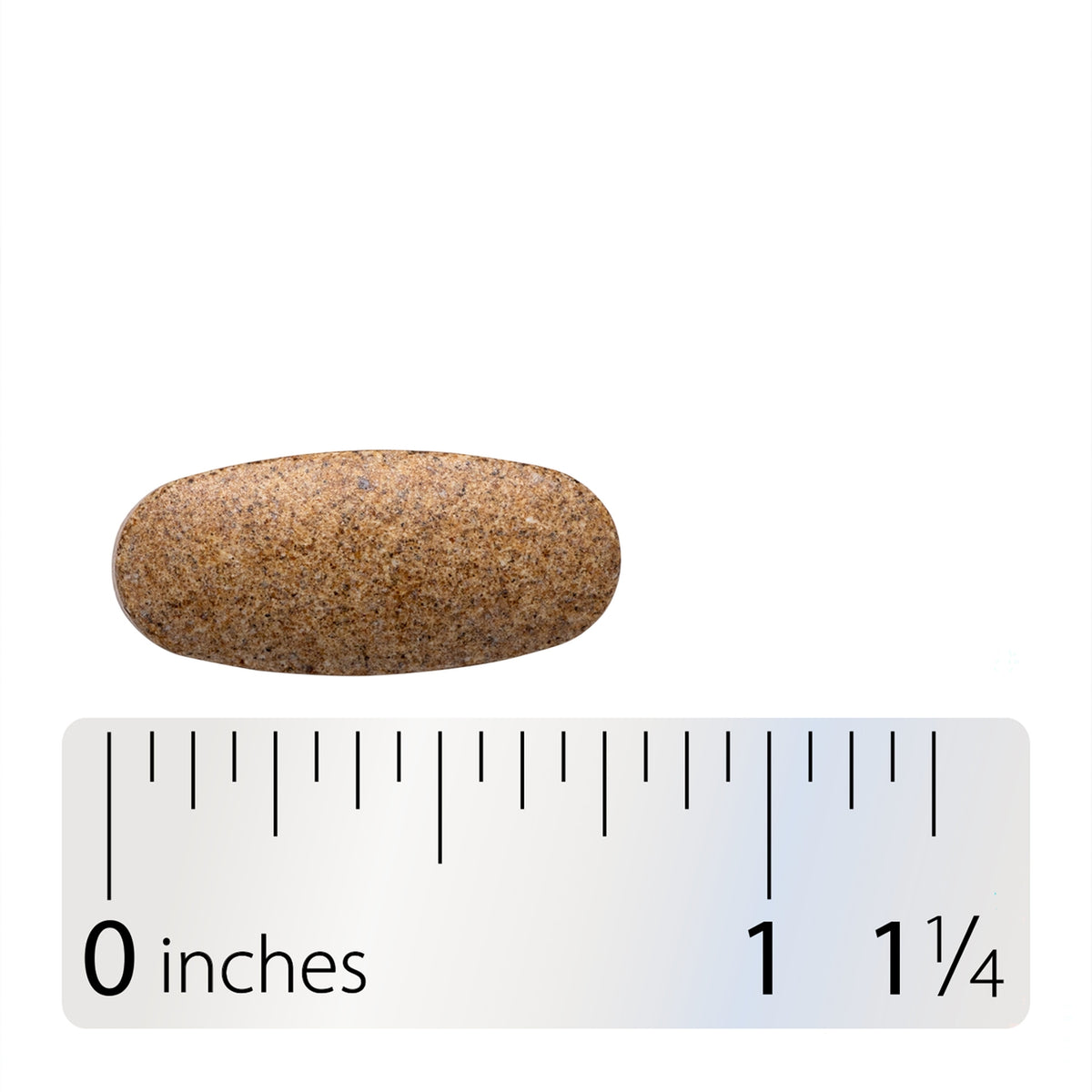 ET348 | Brown oval tablet shown with inch ruler for size reference
