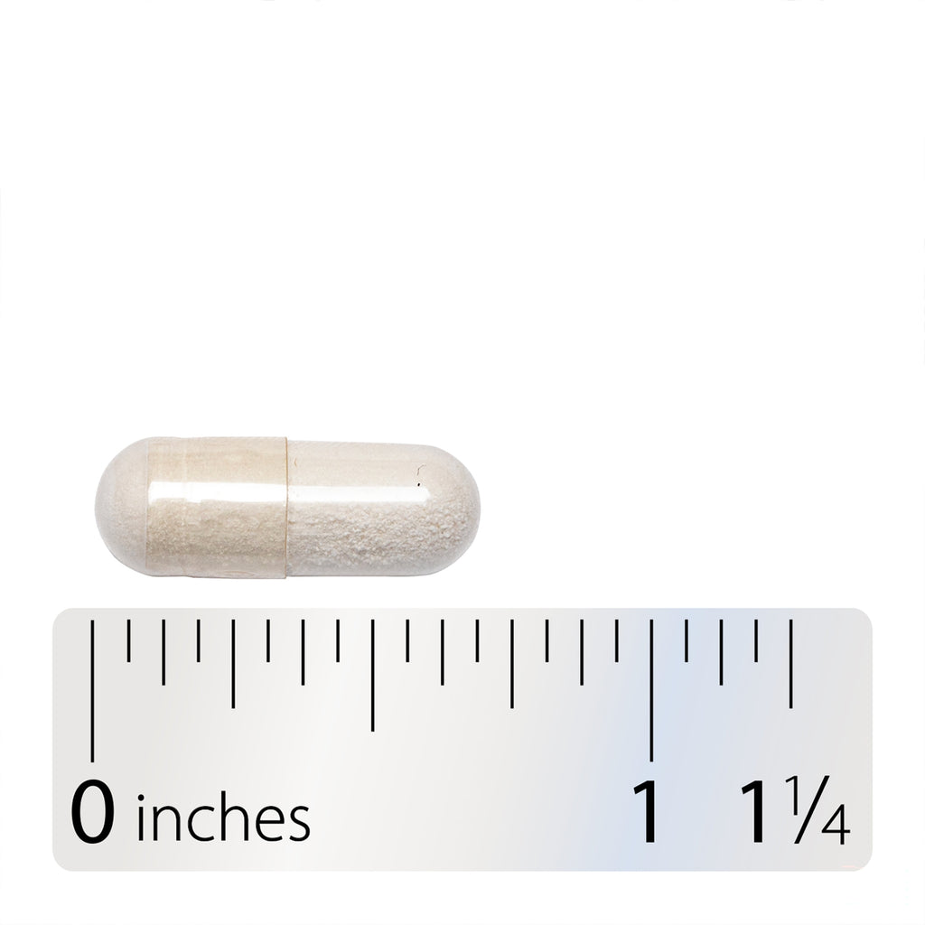 ET438 | Beige capsule shown above a ruler for size reference - Thumbnail