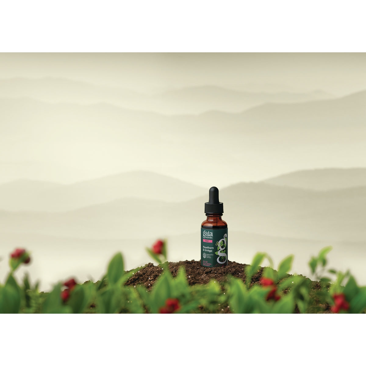 GH178 | Hawthorn & Ginkgo herbal supplement dropper bottle in a natural garden setting