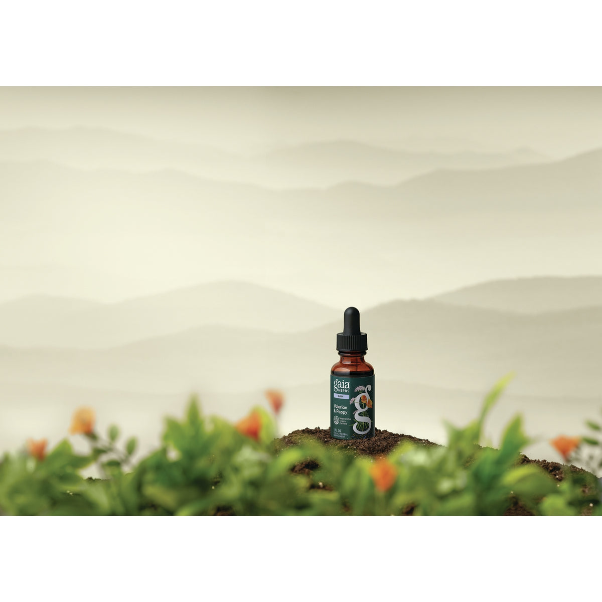 GH179 | Gaia Herbs Valerian & Poppy supplement dropper bottle on soil with blurred flowers