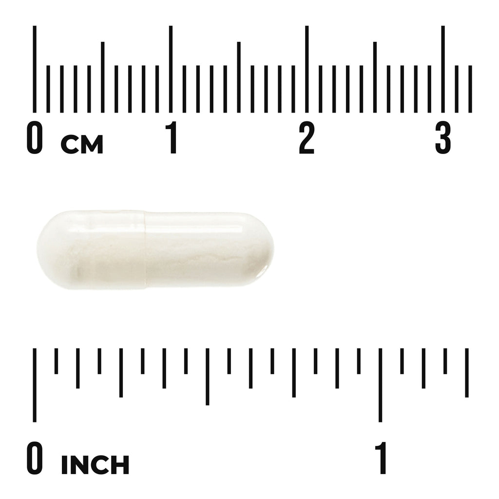 SW1041 | Capsule size shown with centimeter and inch rulers - Thumbnail