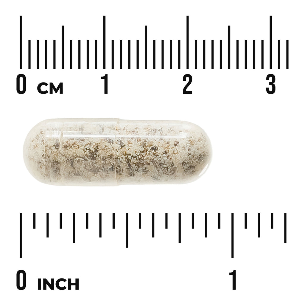 SW1165 | Capsule size shown against centimeter and inch rulers - Thumbnail