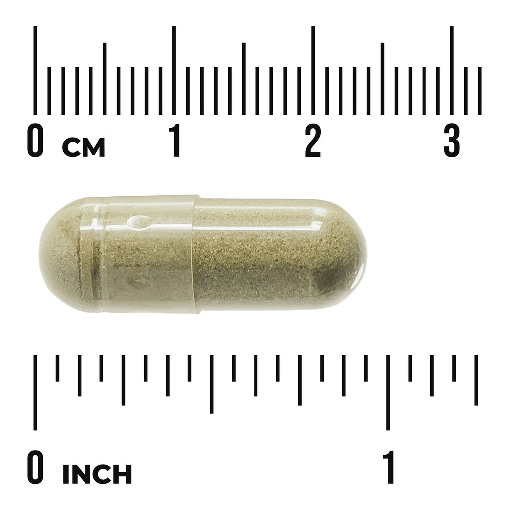 SW1354 | Beige powdered supplement capsule shown next to centimeter and inch rulers to indicate size - Thumbnail