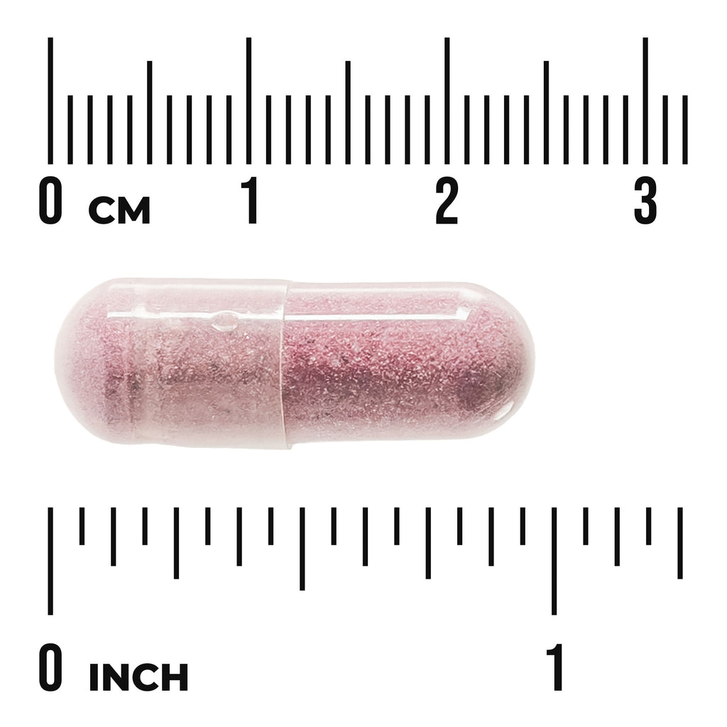 SW958 | Capsule form shown with centimeter and inch rulers for size reference - Thumbnail