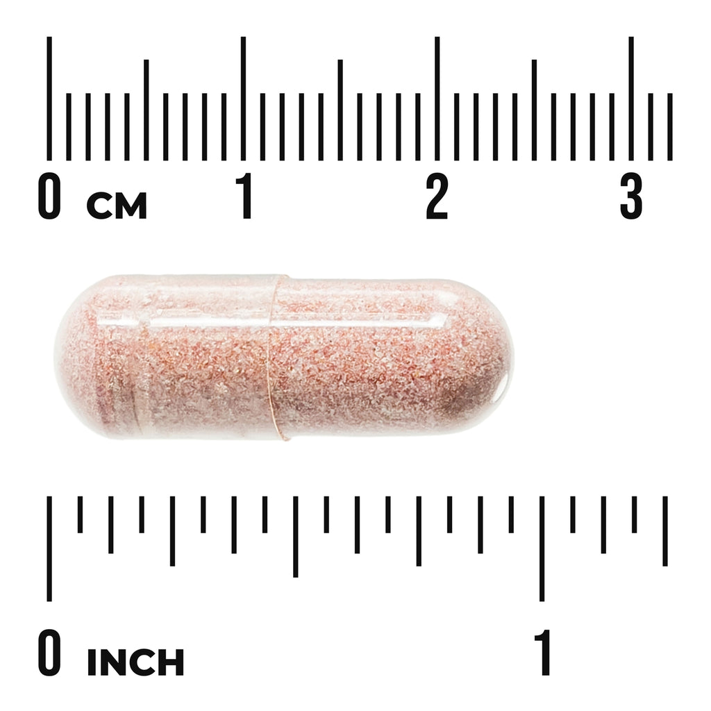 Urinary Tract Essentials - Thumbnail