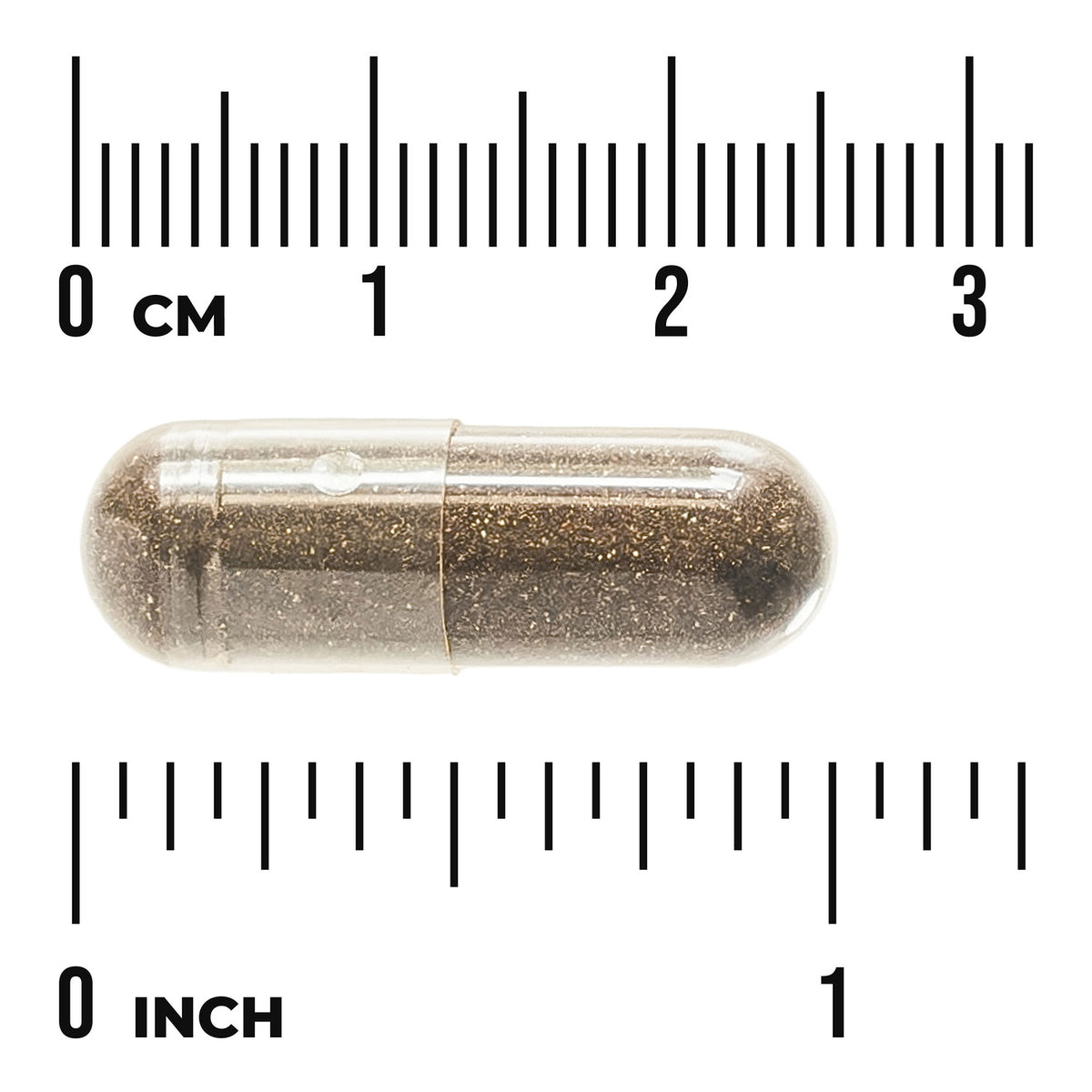 SWH008 | Capsule shown with inch and centimeter rulers for size reference