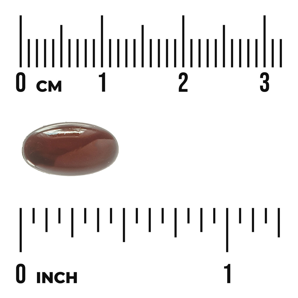 SWU659 | dark brown oval softgel on centimeter and inch rulers for size reference - Thumbnail