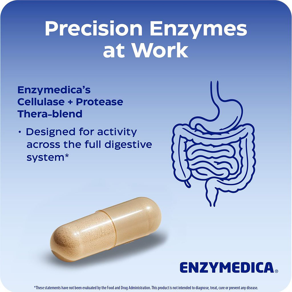 EMD005 | Enzymedica Cellulase + Protease Thera-blend capsule infographic with digestive system illustration - Thumbnail