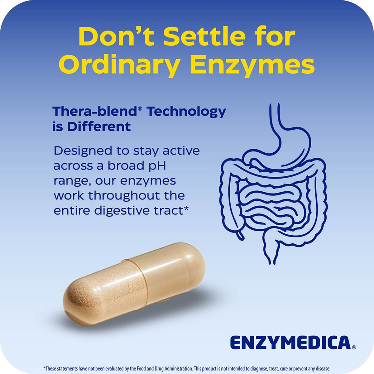 EMD039 | Enzymedica Thera-blend technology infographic with capsule and digestive system illustration