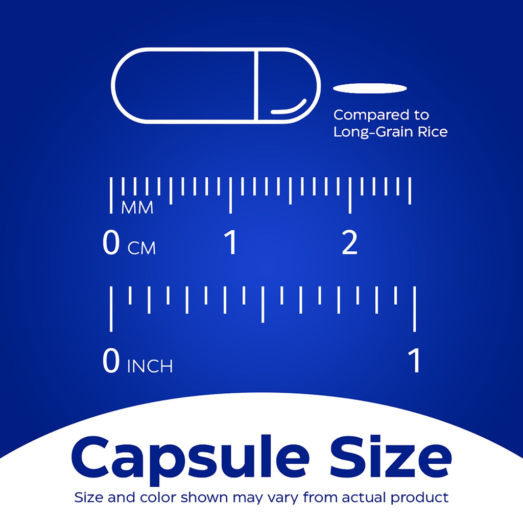 EMD039 | Capsule size comparison chart with ruler markings and long-grain rice reference - Thumbnail
