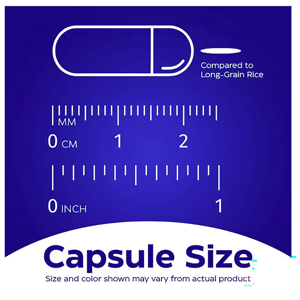EMD050 | Enzymedica Thera-blend technology infographic with digestive tract graphic and capsule - Thumbnail