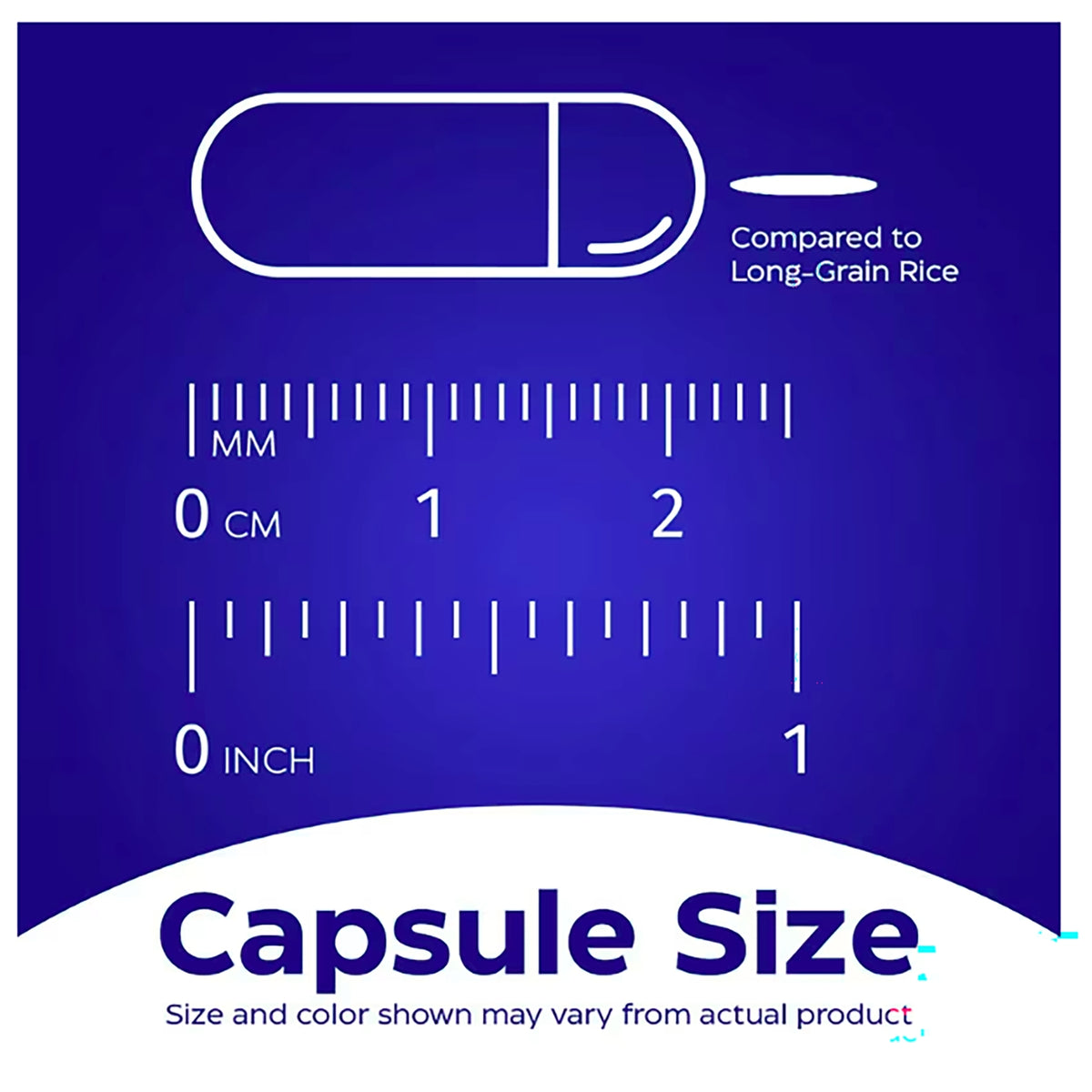 EMD050 | Enzymedica Thera-blend technology infographic with digestive tract graphic and capsule
