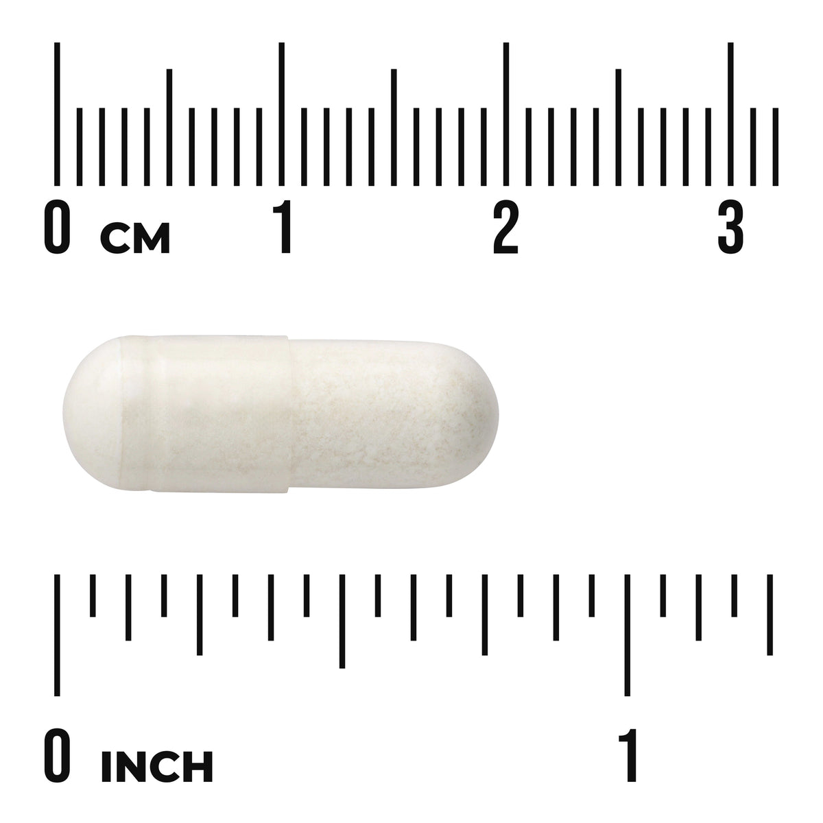 SWU251 | White capsule on ruler for scale showing CM and INCH markings