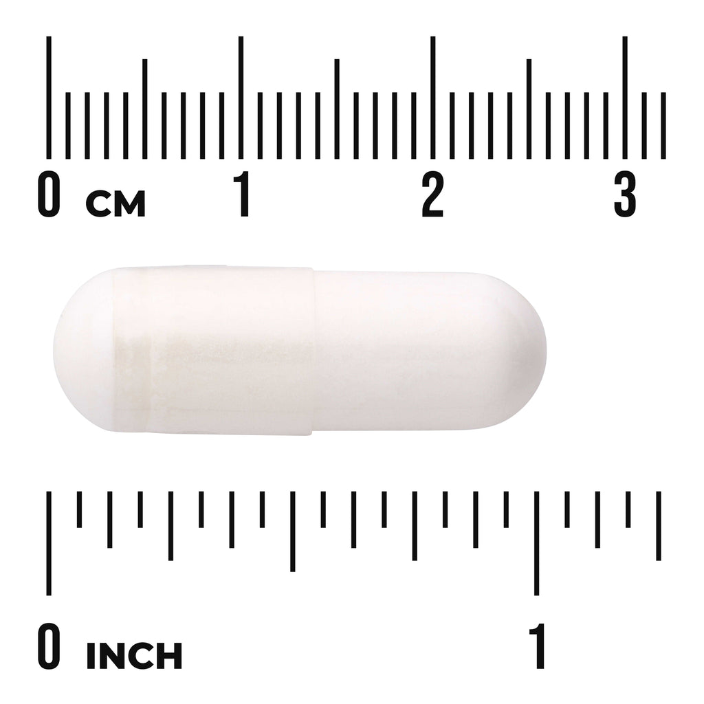 SWU931 | White capsule shown next to centimeter and inch rulers for size reference - Thumbnail