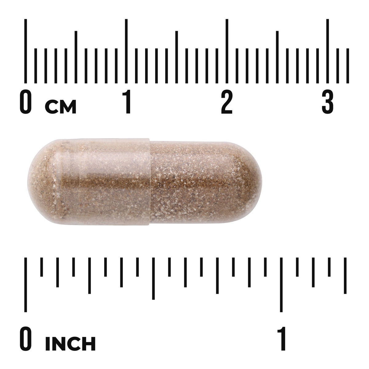 SW1428 | Brown capsule with centimeter and inch rulers for size reference