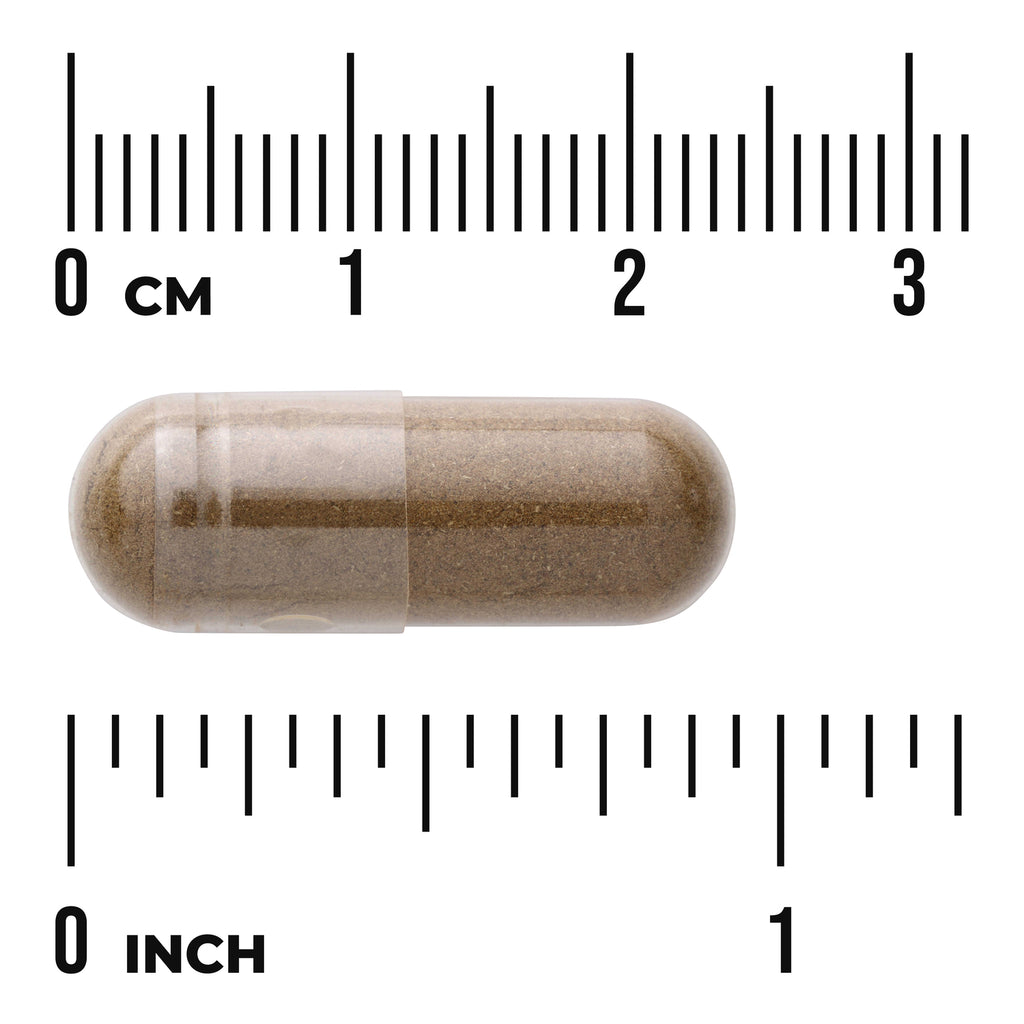 SW1490 | Capsule shown with cm and inch rulers for size - Thumbnail