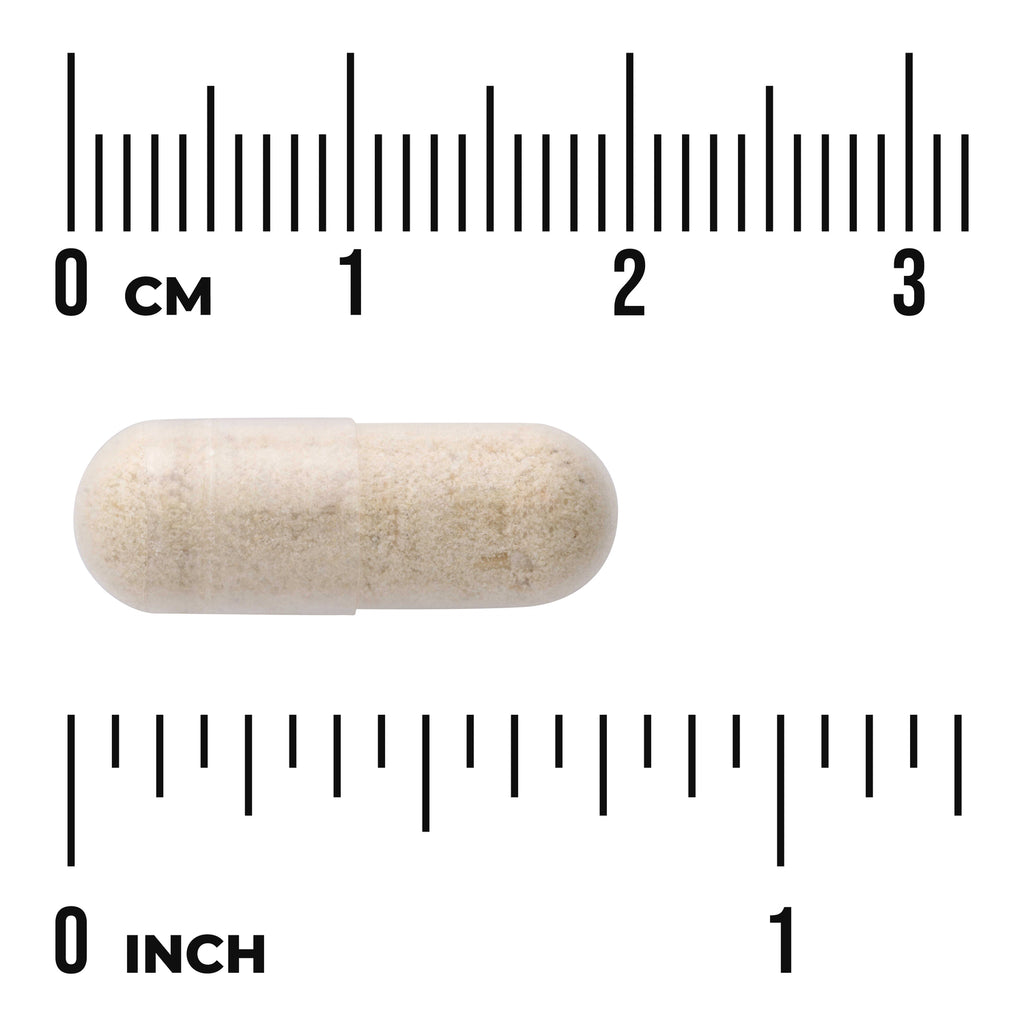 SWD084 | Capsule shown with size scale in inches and centimeters - Thumbnail