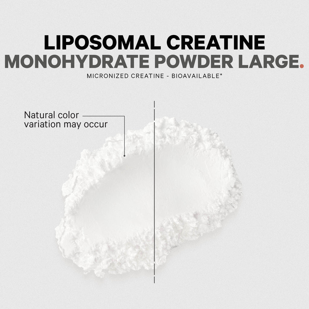 CDG004 | Liposomal creatine monohydrate powder large with micronized creatine and natural color variation note - Thumbnail