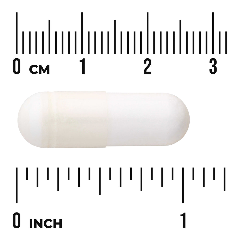 SW1525 | White capsule with size guide showing length near 1 inch, rulers labeled cm and inch - Thumbnail