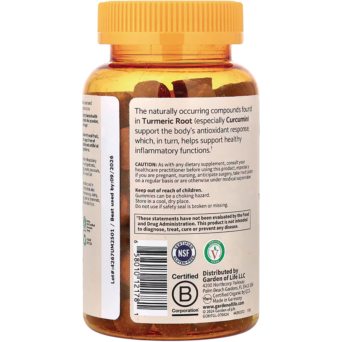 GLF342 | Back of amber supplement bottle showing label about Turmeric Root, barcode, certifications, and gummies inside