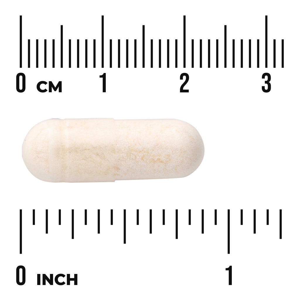 SWA030 | White capsule shown next to cm and inch rulers for size reference - Thumbnail