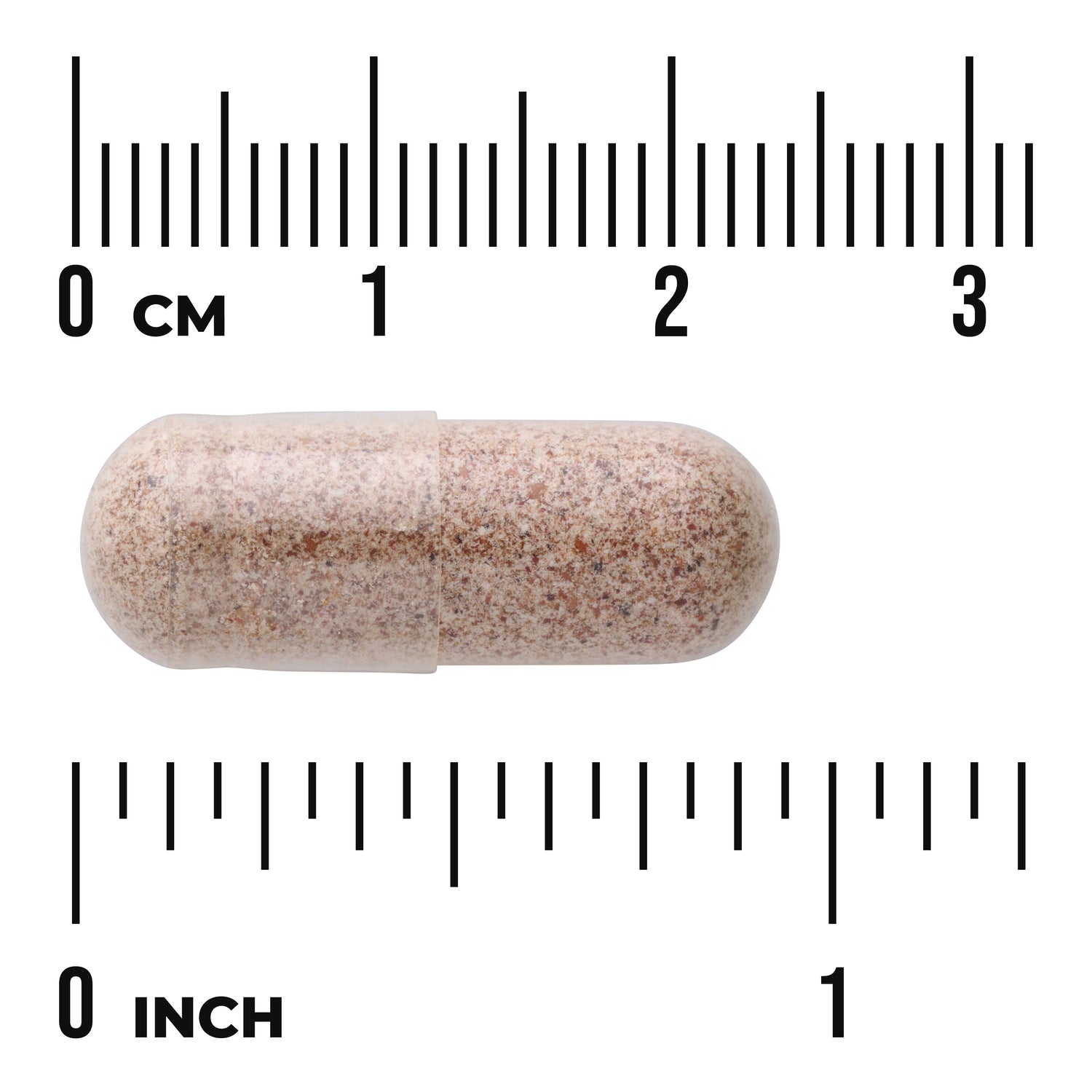 SW1347 | Brown speckled capsule next to rulers marked 03 cm and 01 inch showing size, visible text "cm" and "inch"