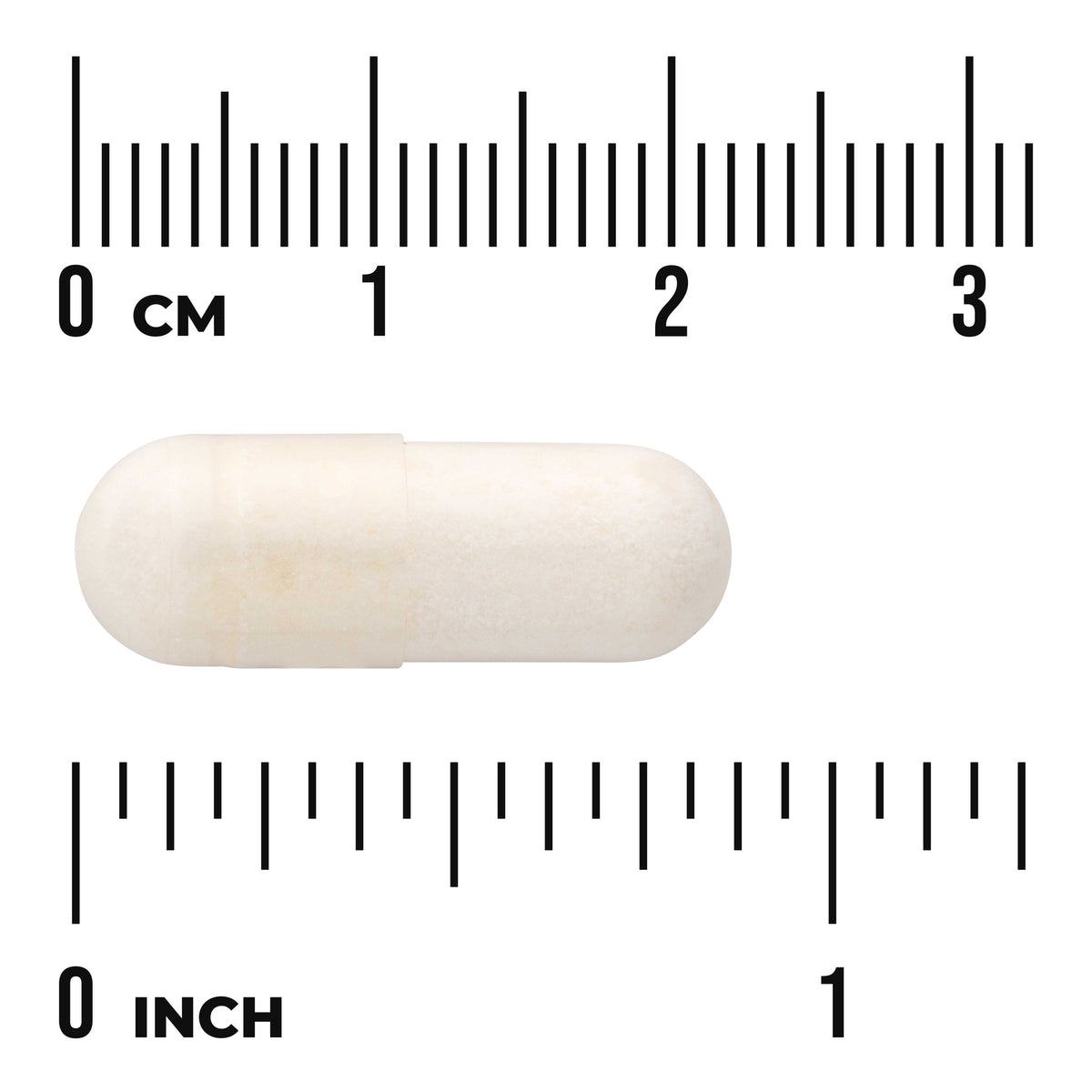 SWA025 | White capsule shown with centimeter and inch rulers for size