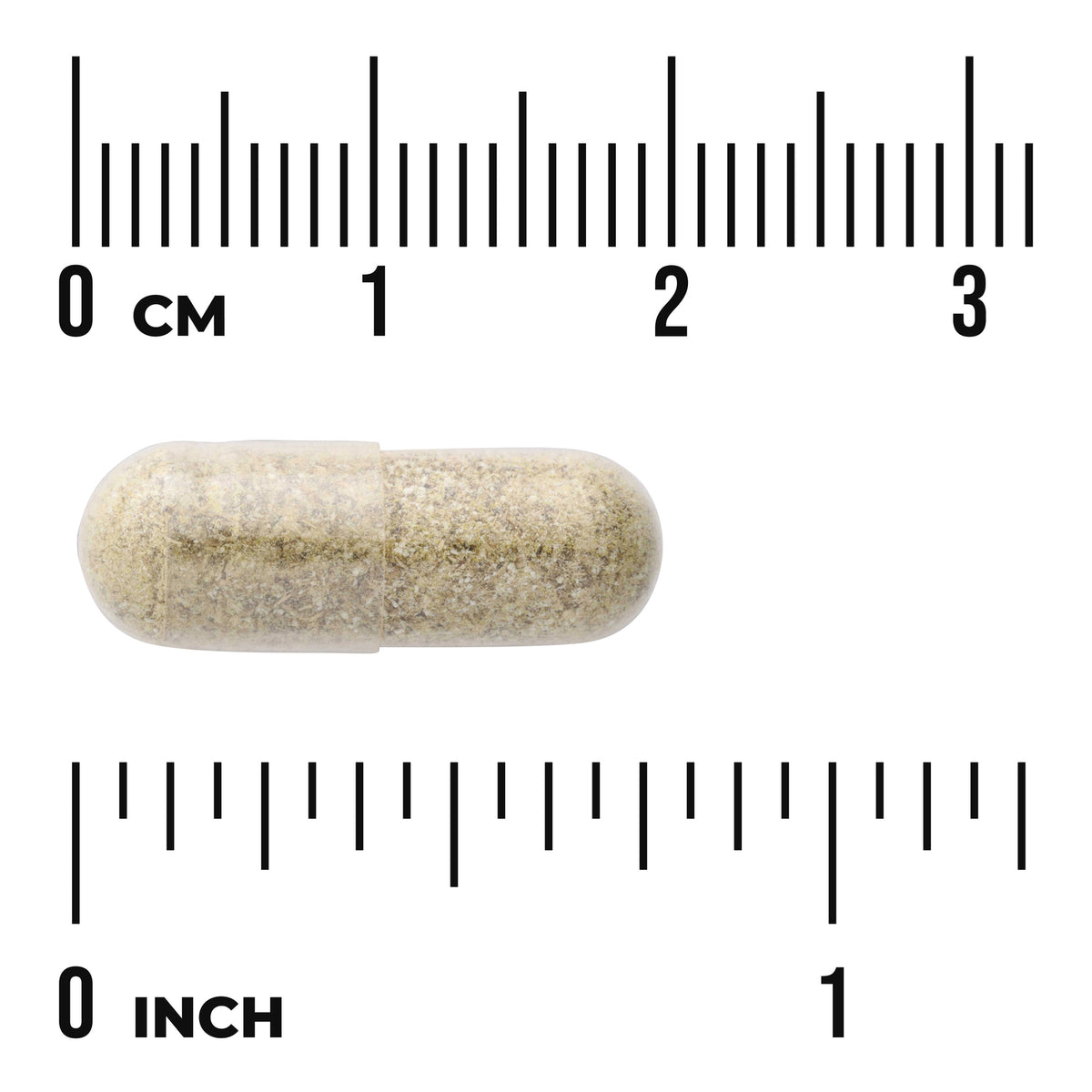 SW1737 | Clear capsule with powder, shown next to cm and inch rulers