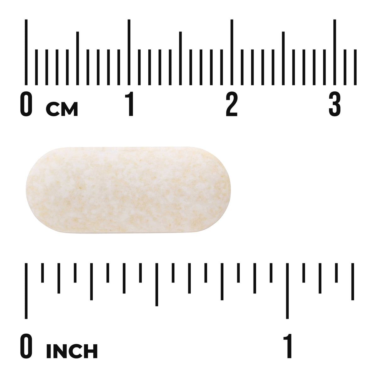 SWU768 | Oval tablet shown against cm and inch ruler for size reference