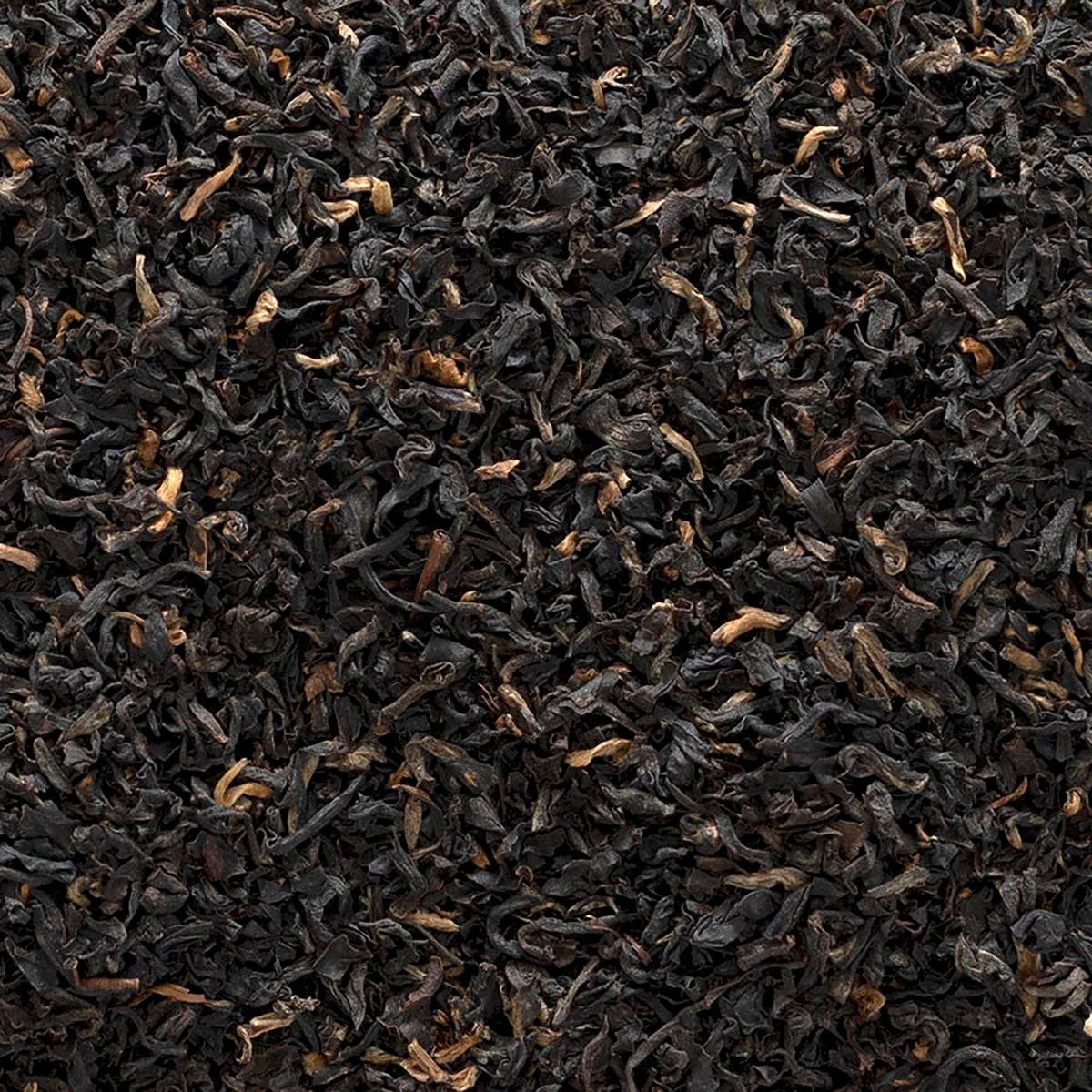 FNP026 | close-up of loose black tea leaves with dark brown tips