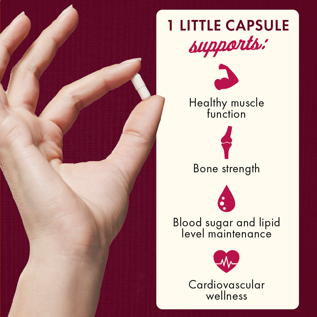 SW1804 | Hand holding a small white capsule beside infographic listing support for muscle function, bone strength, blood sugar and cardiovascular wellness