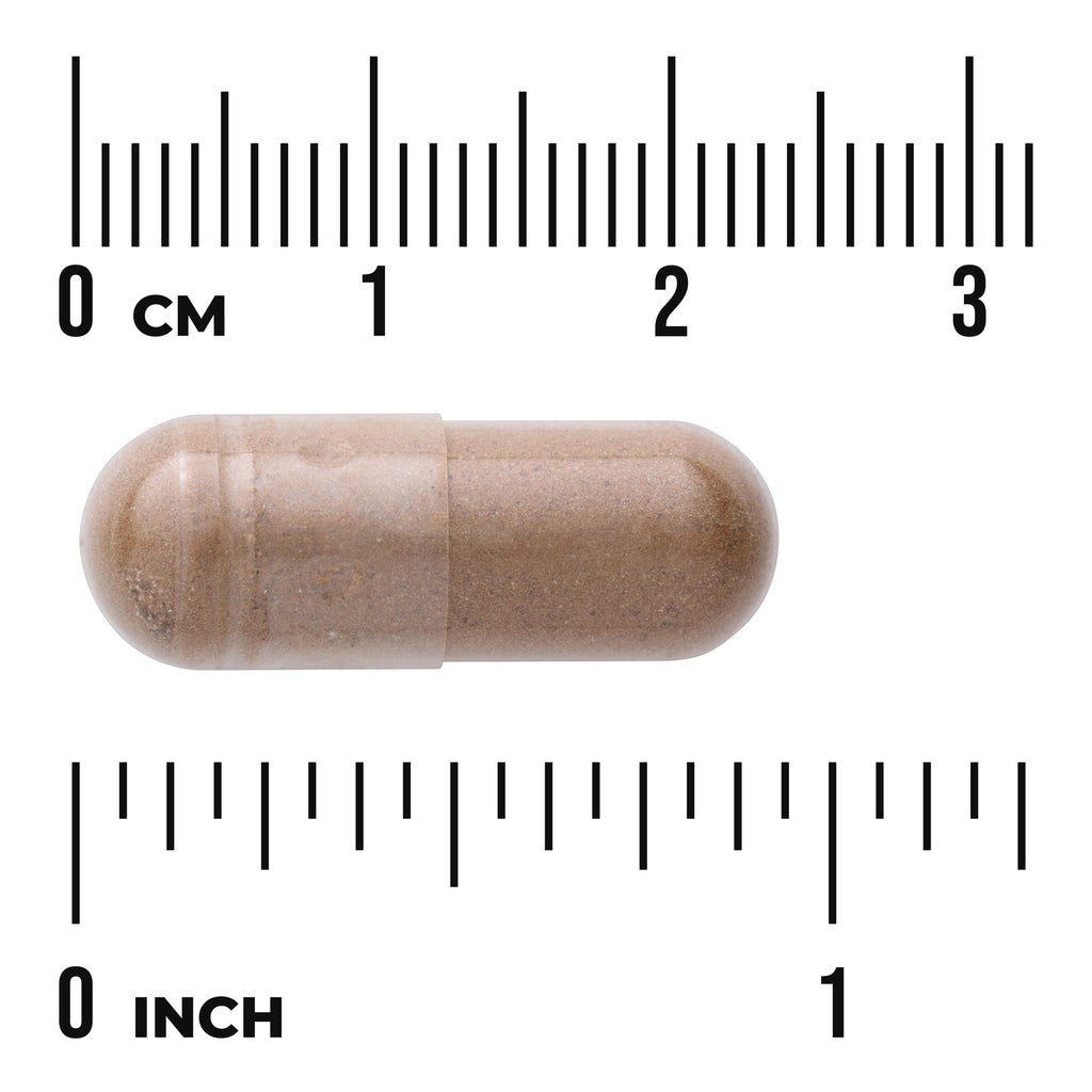 SW978 | Brown capsule shown with metric and inch rulers for size - Thumbnail