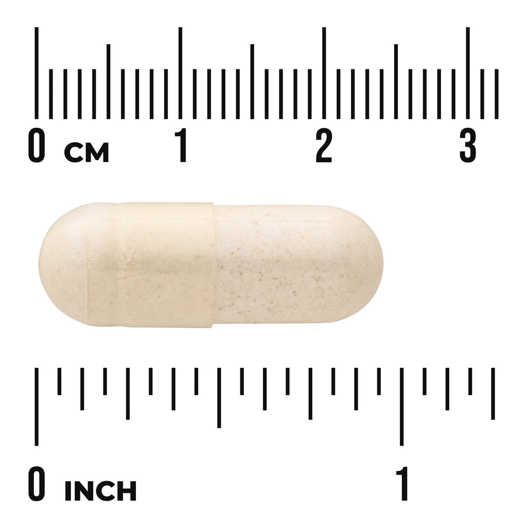 SWU1019 | Off-white capsule centered on centimeter and inch rulers showing approx 1 inch length - Thumbnail