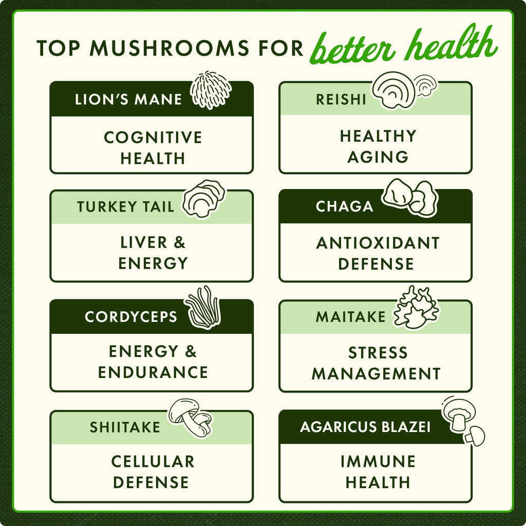 SWF194 | TOP MUSHROOMS FOR better health lions mane cognitive health healthy aging turkey tail liver and energy chaga antioxidant defense cordyceps energy and endurance maitake stress management - Thumbnail