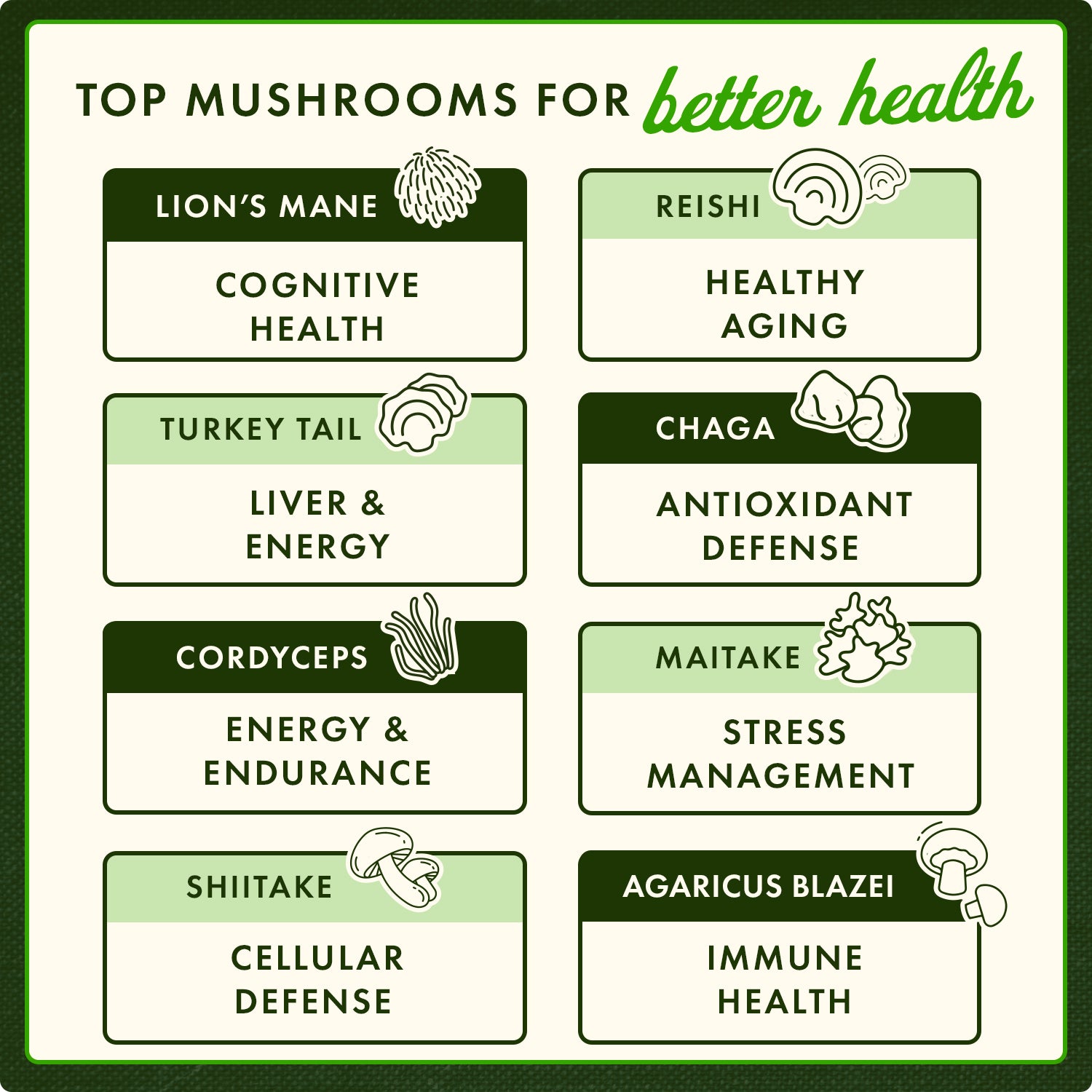 SWF194 | TOP MUSHROOMS FOR better health lions mane cognitive health healthy aging turkey tail liver and energy chaga antioxidant defense cordyceps energy and endurance maitake stress management