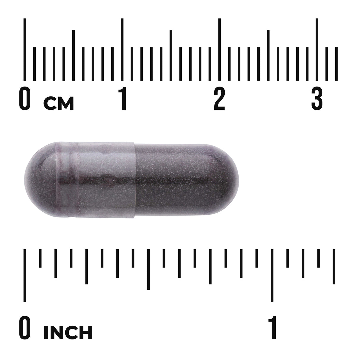 SWH203 | Dark capsule with size scale in cm and inches