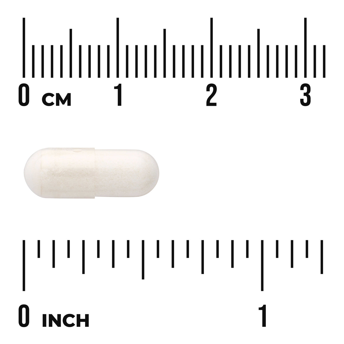 SW1648 | White capsule with size scale in centimeters and inches