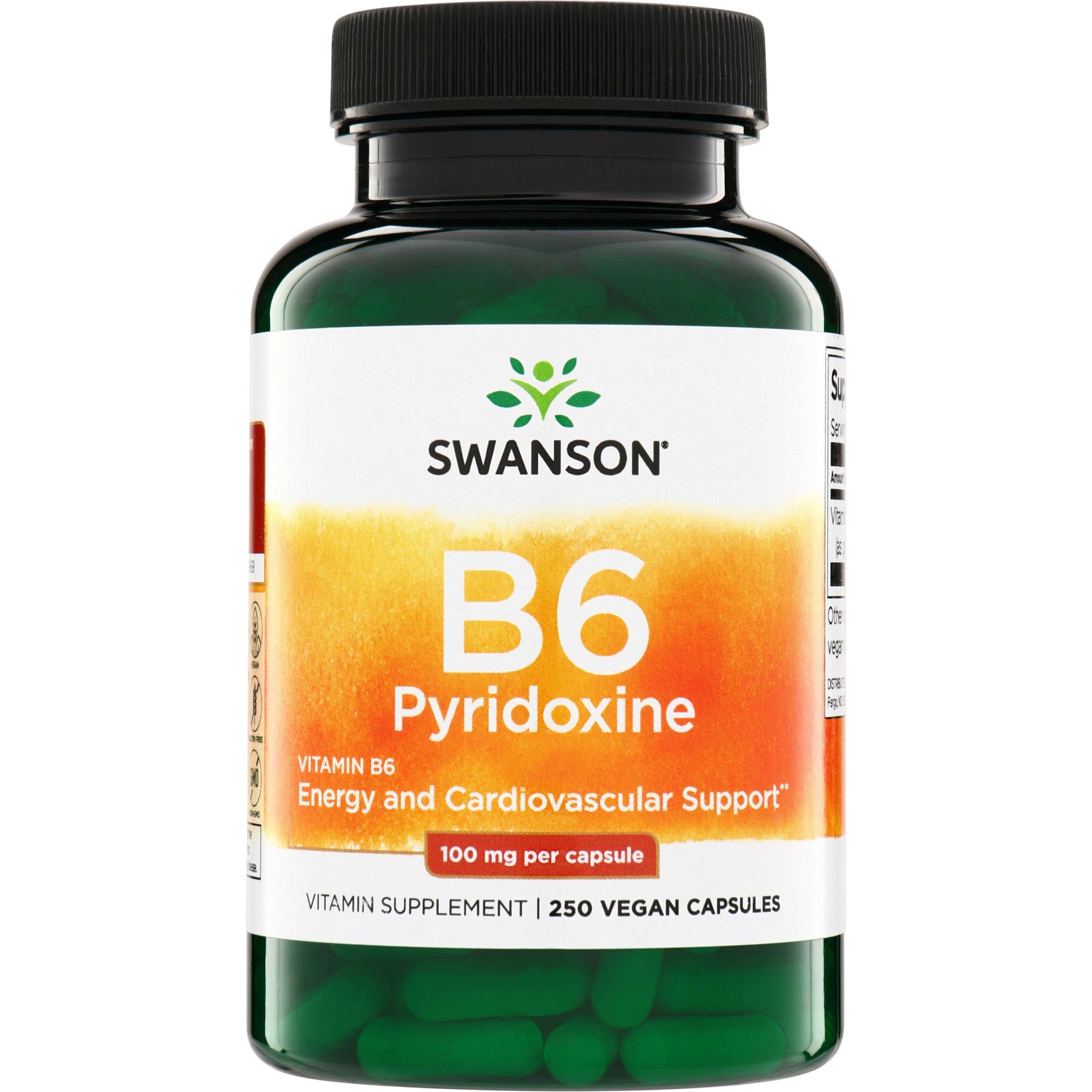 SW022 | Swanson B6 Pyridoxine, 100 mg per capsule, 250 vegan capsules bottle front